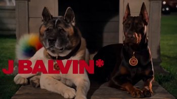 J Balvin - Dalmation